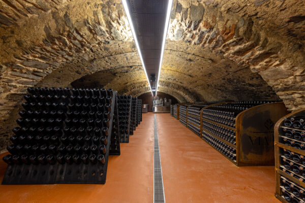 Company Trip to Bratislava and its surroundings - Image 21