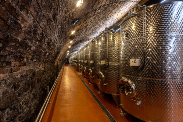 Company Trip to Bratislava and its surroundings - Image 18