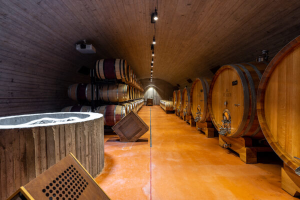 Company Trip to Bratislava and its surroundings - Image 19